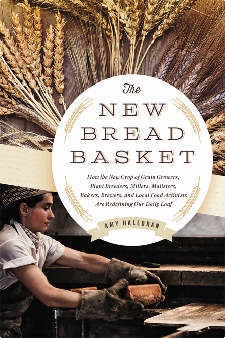 The New Bread Basket 